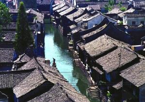 昌黎法院发出《护鸟令》